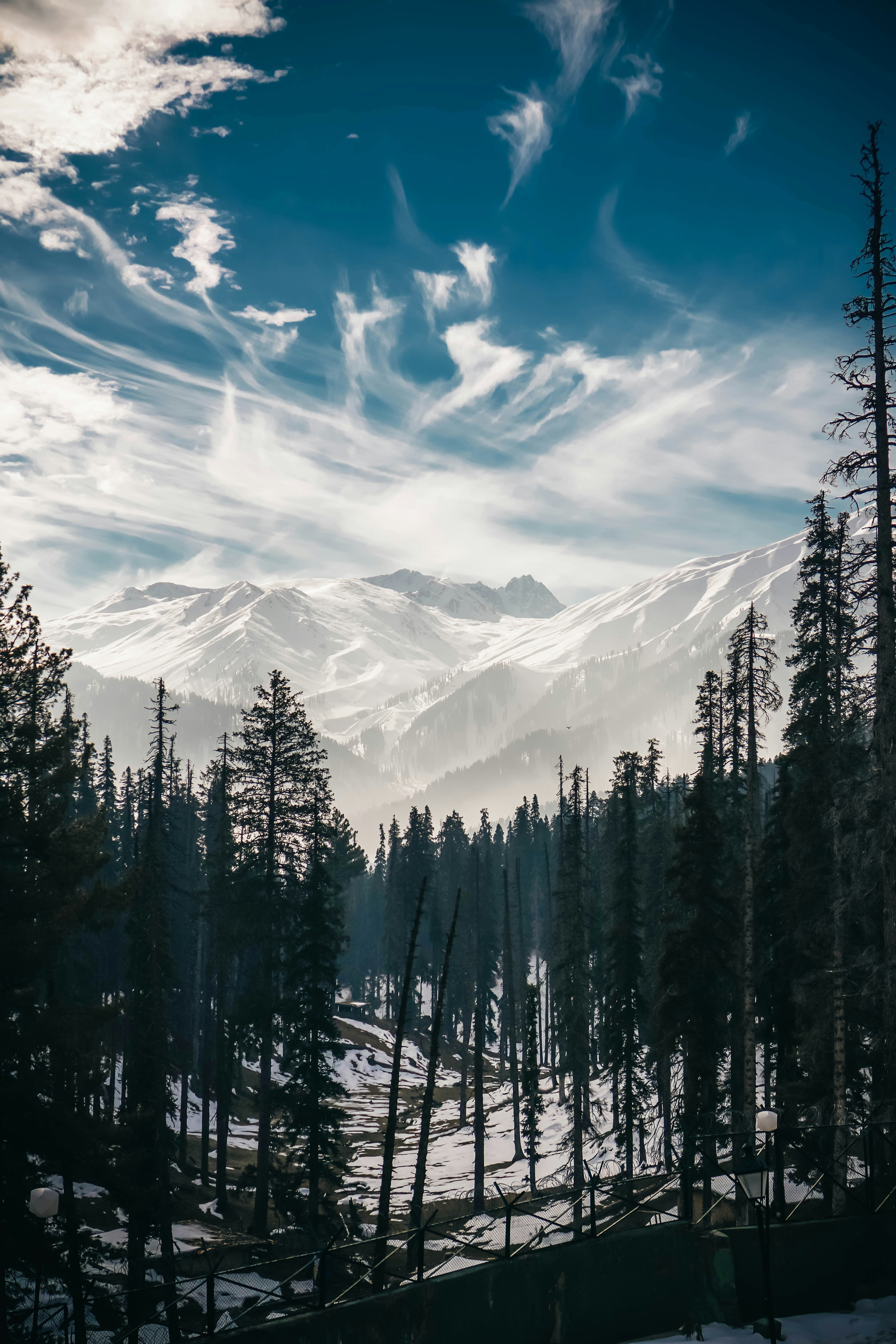 Elevate Adventure
